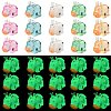 30Pcs 5 Colors Luminous Resin Home Display Decorations RESI-SZ0003-23-1