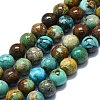 Natural Turquoise Beads Strands G-K245-A16-05-1