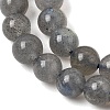 Natural Labradorite Beads Strands GG-CBA28C5-A01-6mm-3