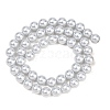 Frosted Glass Pearl Beads Strands GLAA-A044-08A-08-2