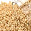 TOHO 11/0 Round Beads X-SEED-TR11-2110-1
