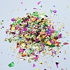 Plastic Candy Sequins/Paillette Chip DIY-I019-01N-2