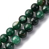 Natural Fuchsite Beads Strands G-K393-A02-10mm-2