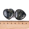 Natural Kambaba Jasper Healing Stones G-G020-01-02-3