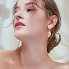 32Pcs 2 Colors Alloy Rhinestone Pendants FIND-AR0003-43-5