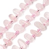 Natural Rose Quartz Beads Strands G-L649-D04-02-2