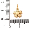 304 Stainless Steel Micro Pave Clear Cubic Zirconia Charms LS-CU-CBAB6EC-24G-3