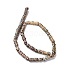 Natural Leopard Skin Jasper Beads Strands G-C135-C01-01-2