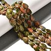 Natural Unakite Beads Strands G-I377-A27-1