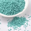 MIYUKI Delica Beads SEED-J020-DB1136-1