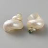 Mini Natural Mixed Shell Beads FIND-WH0609-17A-2