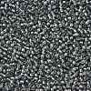 TOHO Round Seed Beads SEED-JPTR11-1001-2