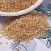 MIYUKI Delica Beads SEED-X0054-DB0852-1