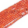 Cubic Zirconia Beads Strands G-G792-47-02B-1