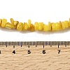 Natural Freshwater Shell Beads SHEL-B003-01-3