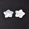 Natural White Shell Mother of Pearl Shell Pendants LS-SSHEL-G014-60-3