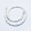 Natural Howlite Beads Strands G-P353-01-8mm-2
