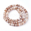 Natural Shell Beads Strands X-SSHEL-E571-49D-2