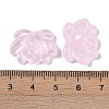 Baking Paint Glass Beads GLAA-S202-13H-3