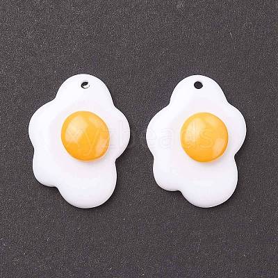 Resin Pendants X-RESI-F030-21-1