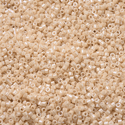 MIYUKI Delica Beads SEED-X0054-DB0205-1