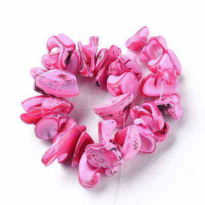 Natural Trochid Shell/Trochus Shell Bead Strands SSHEL-N034-105-A01-1