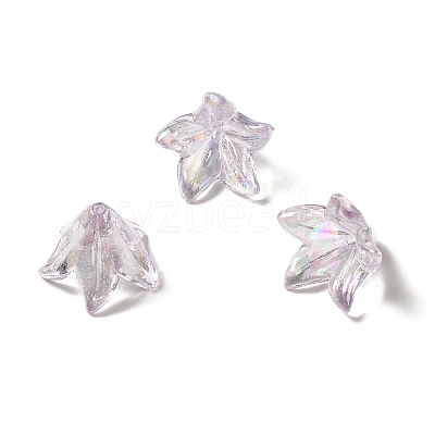 Transparent Acrylic Bead Caps OACR-H016-05B-1