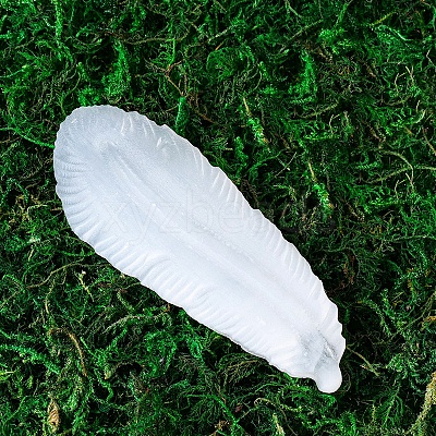 Natural Selenite Charging Bowl for Cleansing DJEW-PW0011-01D-1