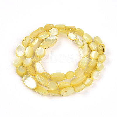 Natural White Shell Beads Strands SHEL-N036-21H-1