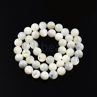 Natural White Shell Bead Strands SSHEL-N003-144H-01-1