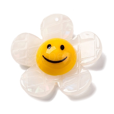 Acrylic Pendants OACR-Q055-03A-1