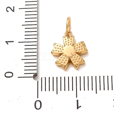 304 Stainless Steel Micro Pave Clear Cubic Zirconia Charms LS-CU-CBAB6EC-24G-1