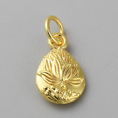 Alloy Pendants FIND-WH0159-63G-01-1