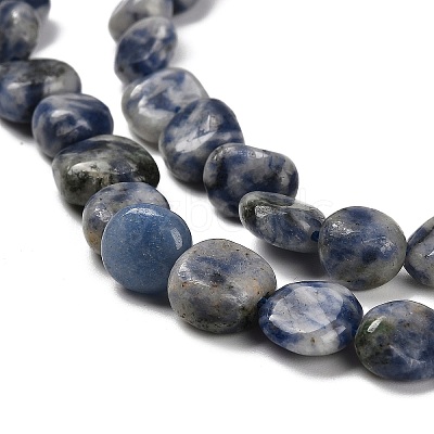 Natural Blue Spot Jasper Beads Strands G-P497-01E-67-1