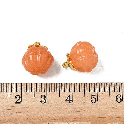 Glass Charms GLAA-P072-04G-1