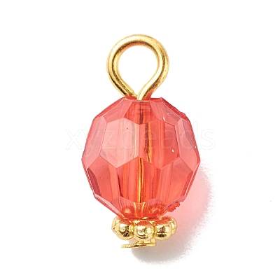 Transparent Acrylic Pendants PALLOY-JF01834-09-1