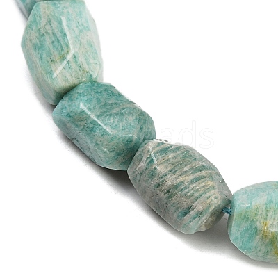 Natural Amazonite Beads Strands G-F796-C08-01-1
