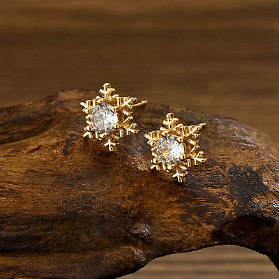 201 Stainless Steel Micro Pave Cubic Zirconia Stud Earrings HL5648-1