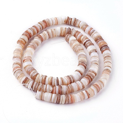 Natural Shell Beads Strands X-SSHEL-E571-49D-1