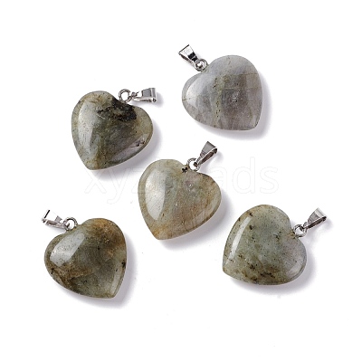 Natural Labradorite Pendants G-G956-B24-FF-1