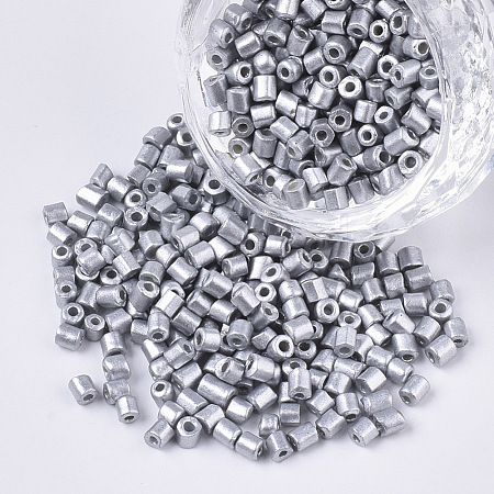 8/0 Two Cut Glass Seed Beads SEED-S033-06A-01-1