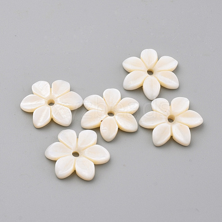 Natural Freshwater Shell Beads SHEL-S269-32-1