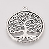 Tibetan Style Alloy Pendants TIBE-T011-49AS-FF-1