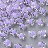Transparent Acrylic Beads TACR-S152-01A-SS2114-1