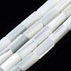 Natural Trochid Shell/Trochus Shell Beads Strands SSHEL-S266-020A-04-1