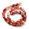 Natural Banded Agate Beads Strands G-G172-01L-3