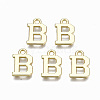 Alloy Charms PALLOY-Q441-025B-NR-1