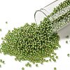 TOHO Round Seed Beads X-SEED-TR11-1046-1