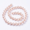 Shell Pearl Beads Strands X-BSHE-L035-8mm-I01-2