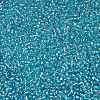 TOHO Round Seed Beads X-SEED-TR15-0023-2
